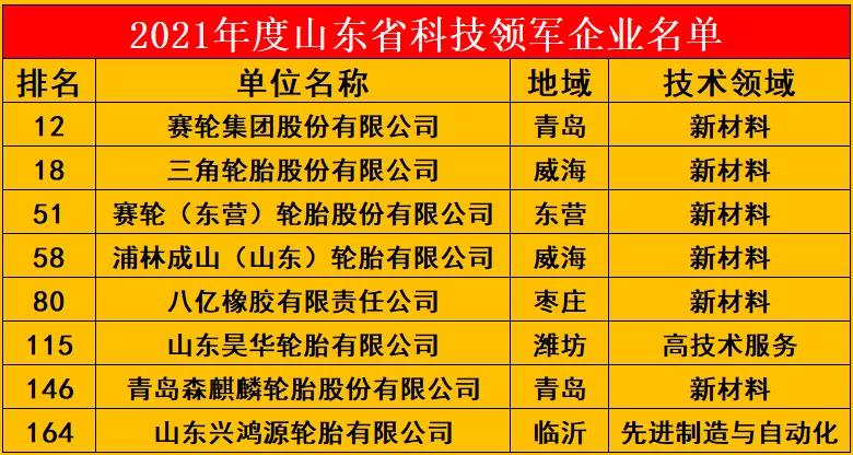 2021年度山東省科技領軍企業(yè)名單