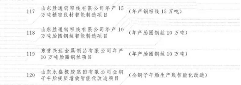 東營興達(dá)金屬制品有限公司年產(chǎn)10萬噸胎圈鋼絲項目