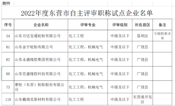 職稱自主評審，5家輪胎企業(yè)試點！